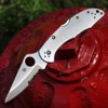 Spyderco Delica 4 C11PS folding knife with stainless steel handle and combo edge.