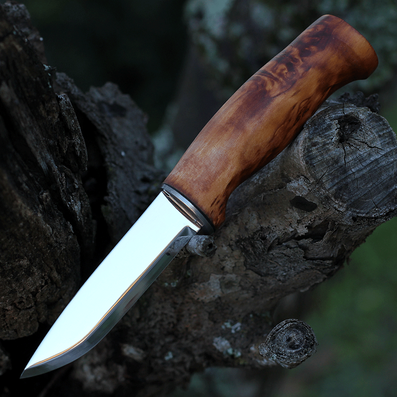 Helle Fjellkniven, Triple Laminated Stainless Steel, Curly Birch Handle