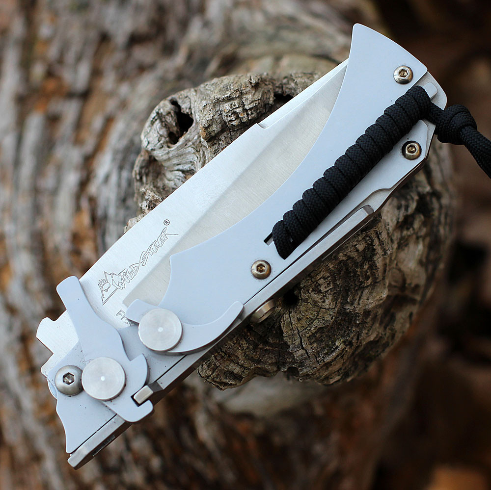 Wildsteer 