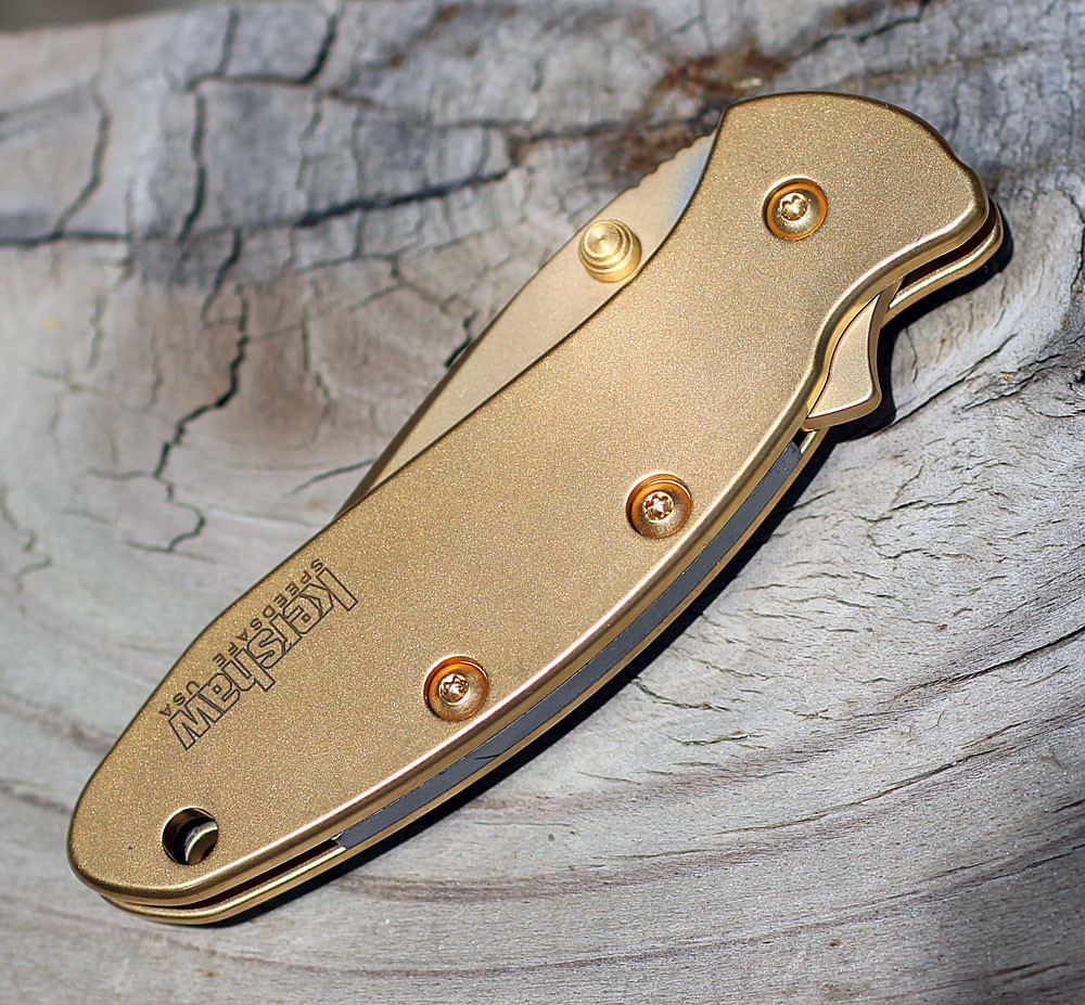Kershaw Gold Chive 1600G Assisted Opener 1.9