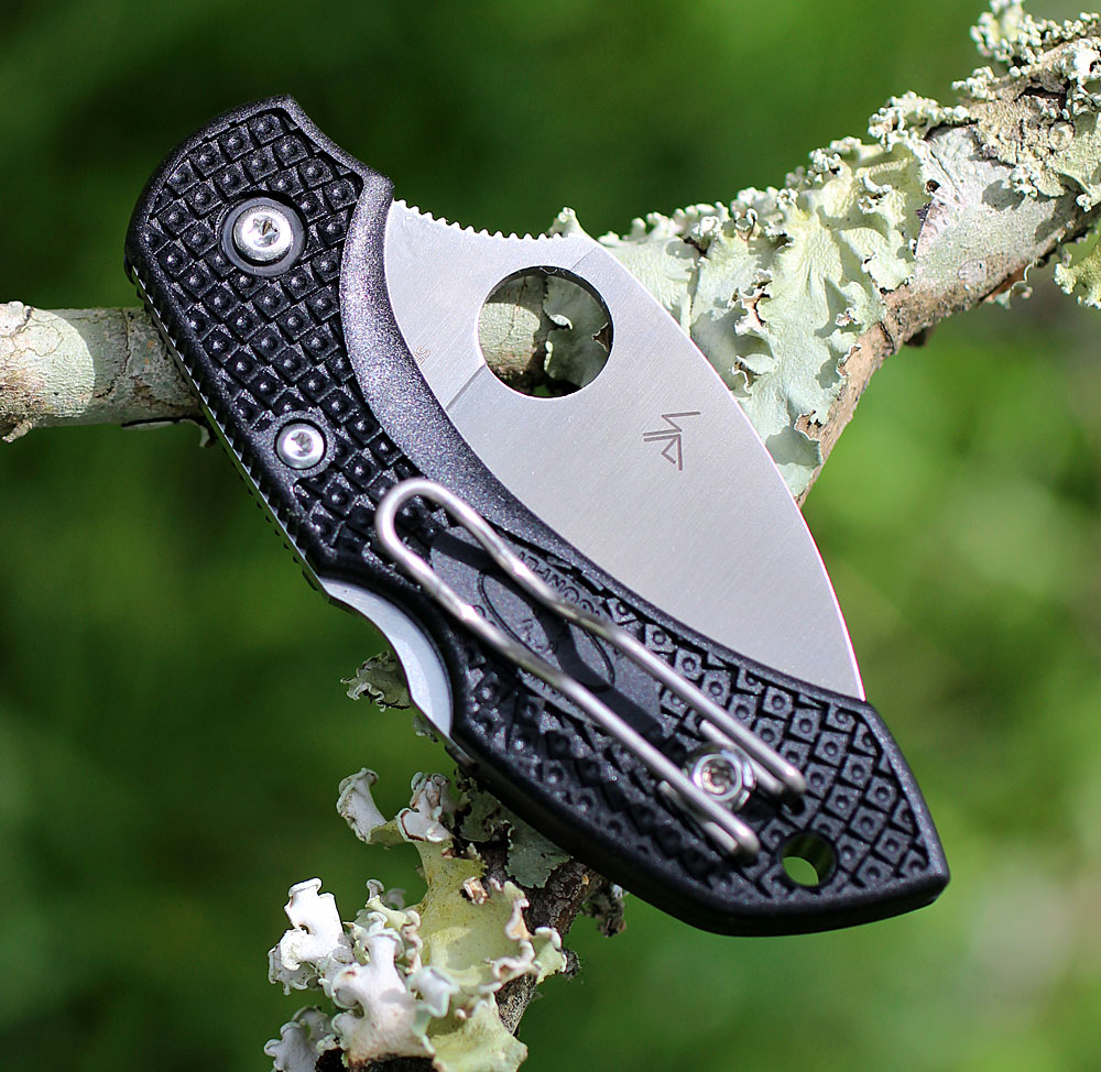 2.28 inch VG-10 Wharncliffe blade on Spyderco Dragonfly 2 folder.