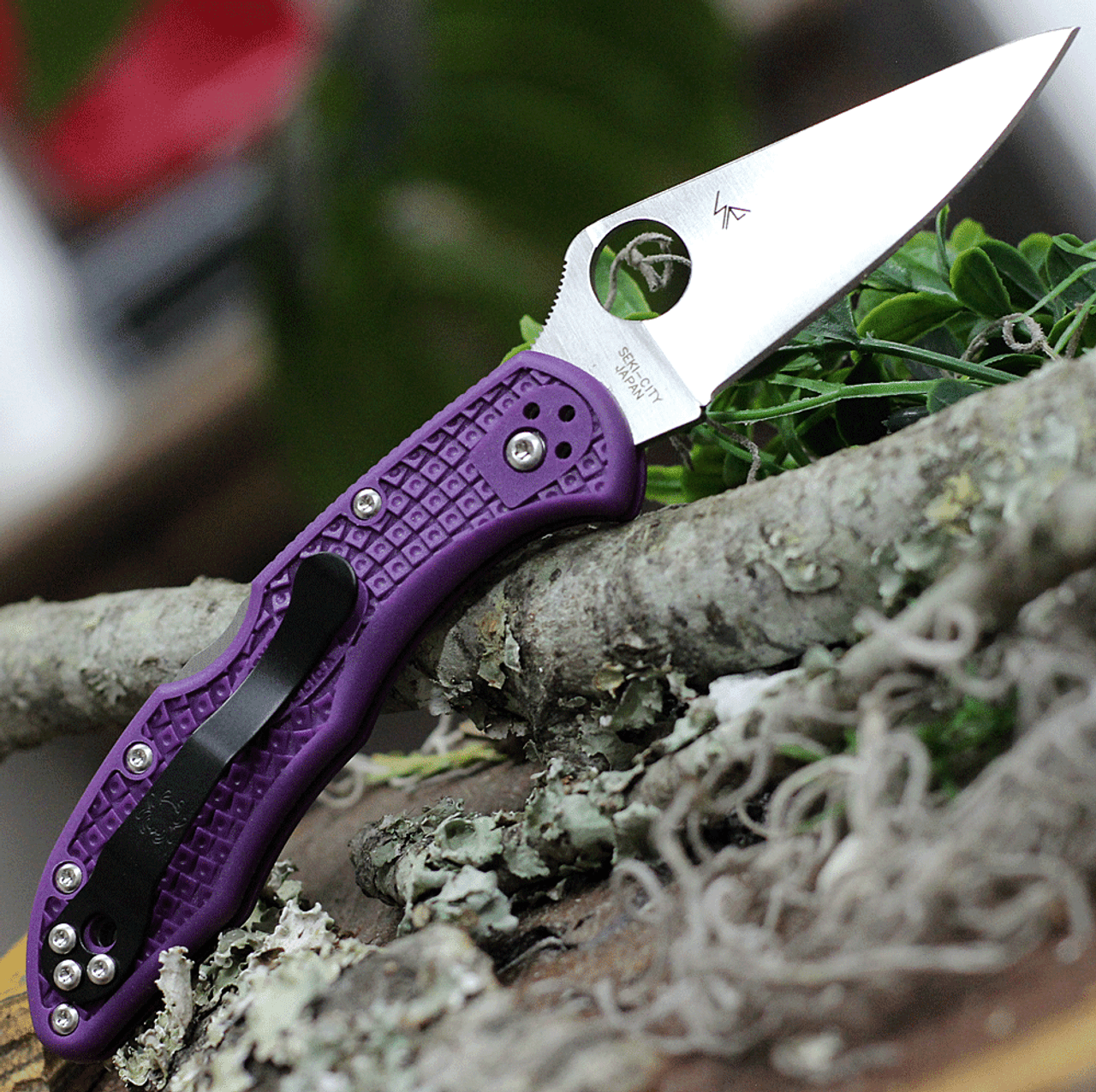 Spyderco C11FPPR Delica 4, 2.875" VG-10 Flat Ground Blade, Purple FRN Handle