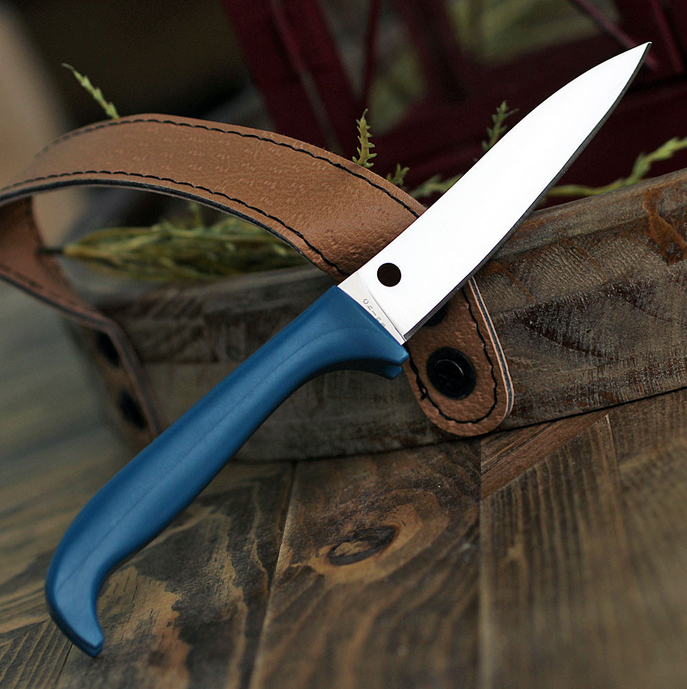 3.46 inch 7Cr17MoV plain edge blade on a Blue Spyderco Counter Puppy.