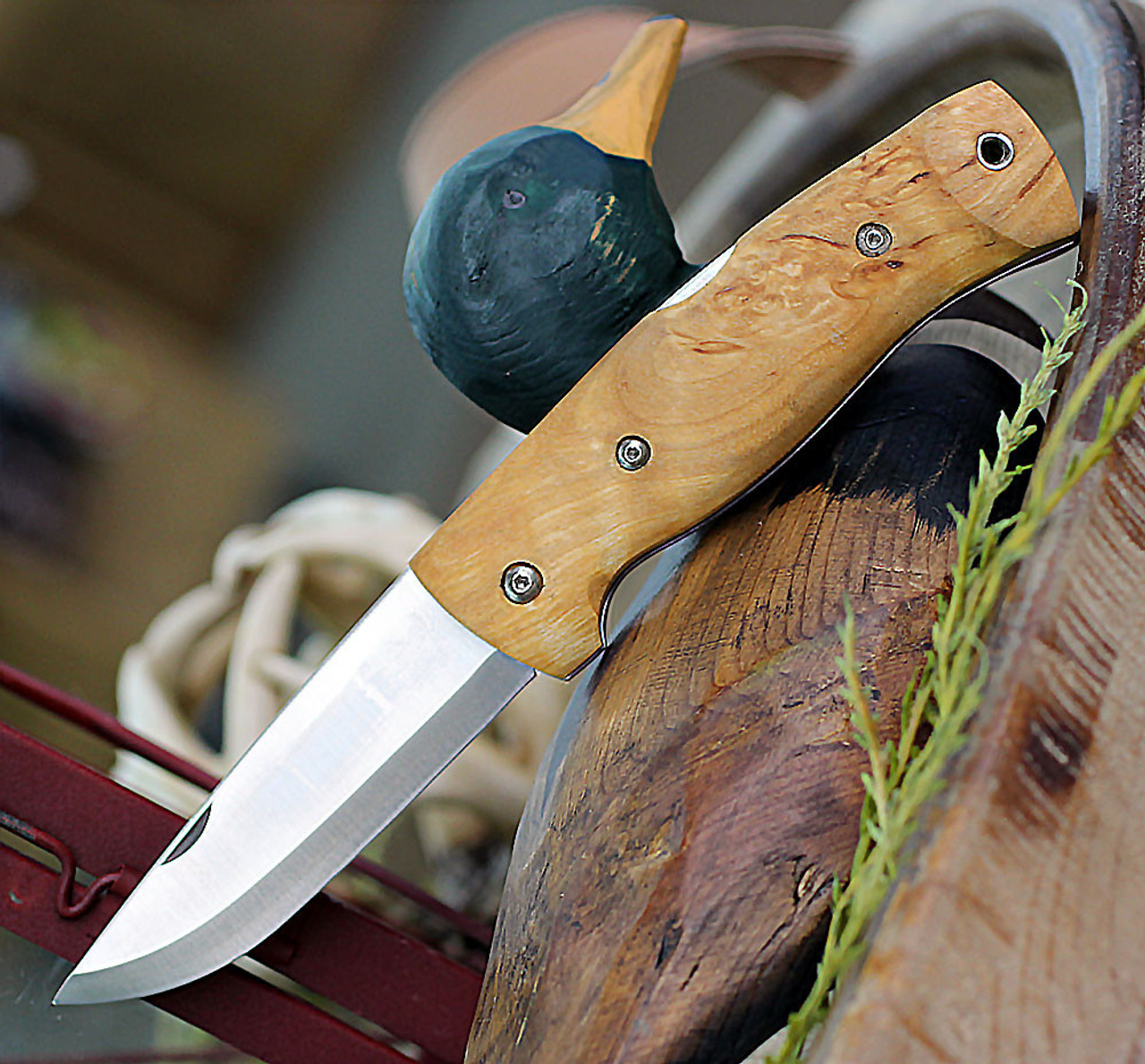 Helle Bleja 625, 3.35" Triple Laminated Stainless Steel Drop Point Plain Blade, Curly Birch Handle