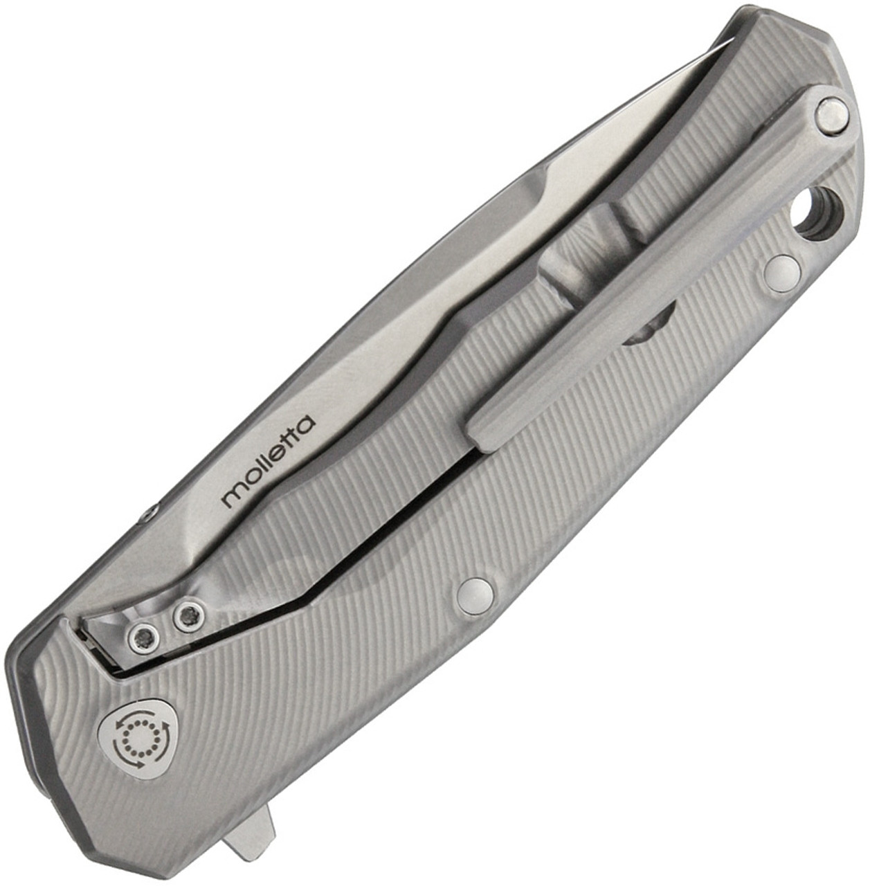 Lion Steel T.R.E. Three Rapid Exchange Folder, 2.91 in. M390 Blade, Matte Titanium Handles, Gray Accents