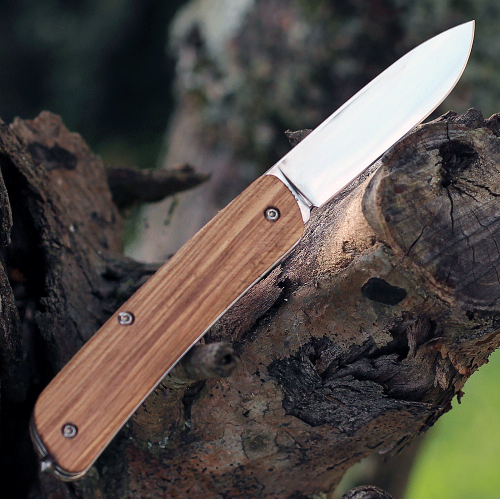 Boker Plus Tech Tool 1 01BO843 highlighting the integrated tungsten carbide glass breaker on the pommel.