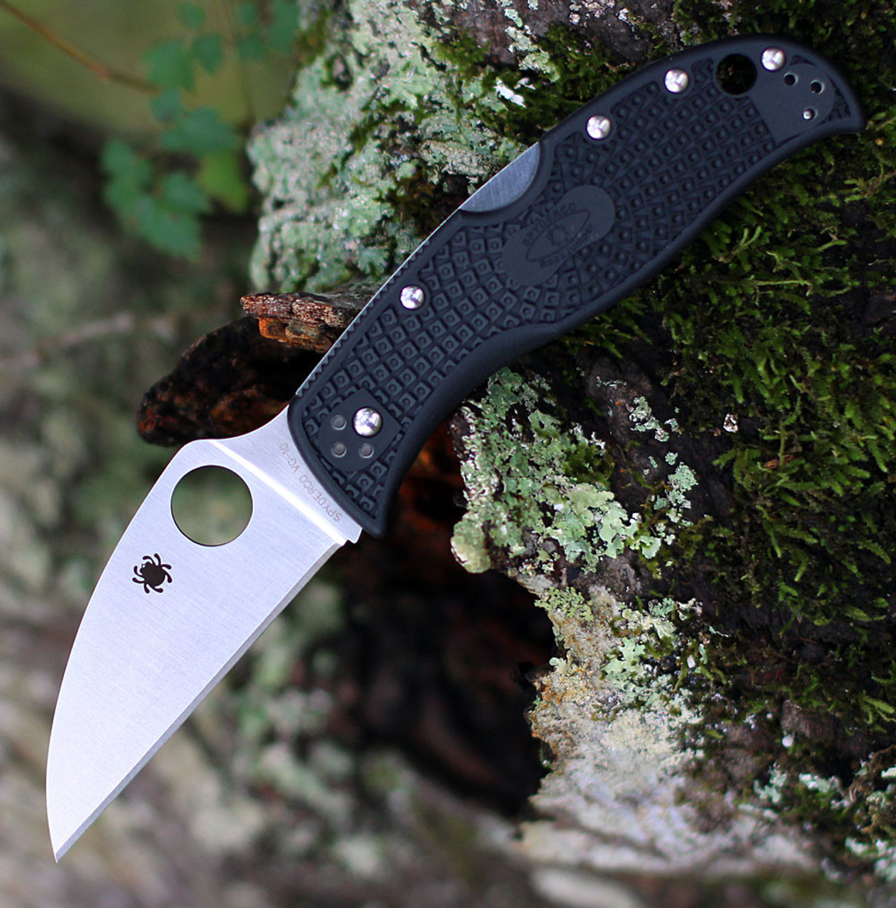 Spyderco RockJumper | C254PBK | Knifeworks