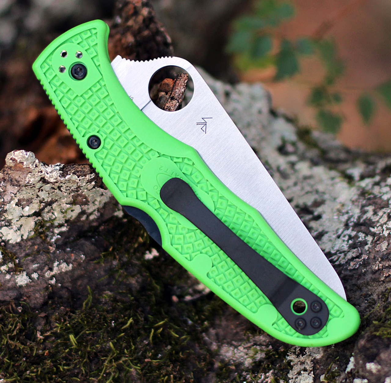 Spyderco Pacific Salt 2 C91FSGR2, 3.78" LC200N Satin SpyderEdge Blade, Green FRN Handle