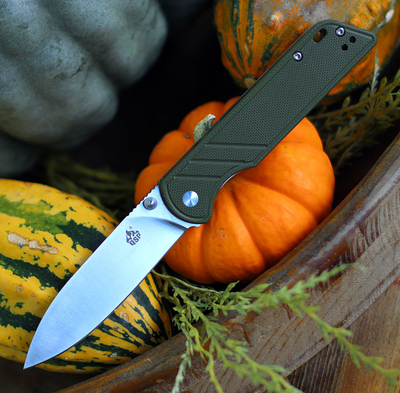 QSP Knife Parrot V2 (QS102B) 3.25" D2 Satin Spear Point Plain Blade, Green G-10 Handle
