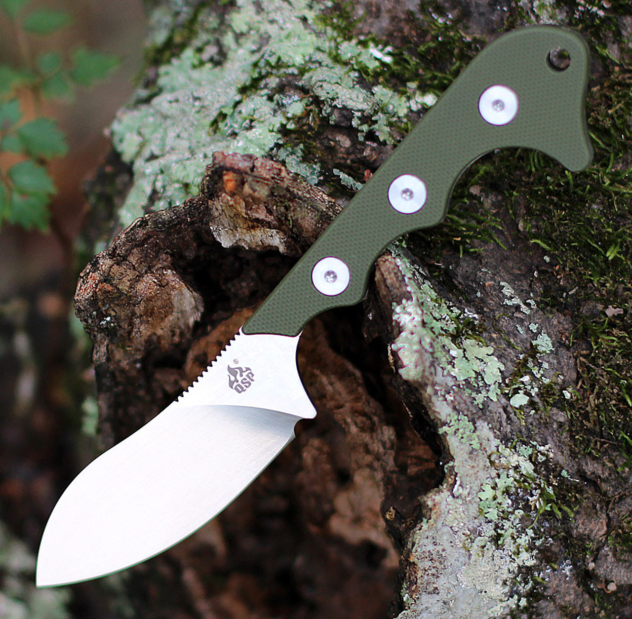 QSP Knife Neckmuk (QS125C) 2.875" D2 Satin Drop Point Plain Blade, Green Micarta Handle, Green Kydex Sheath