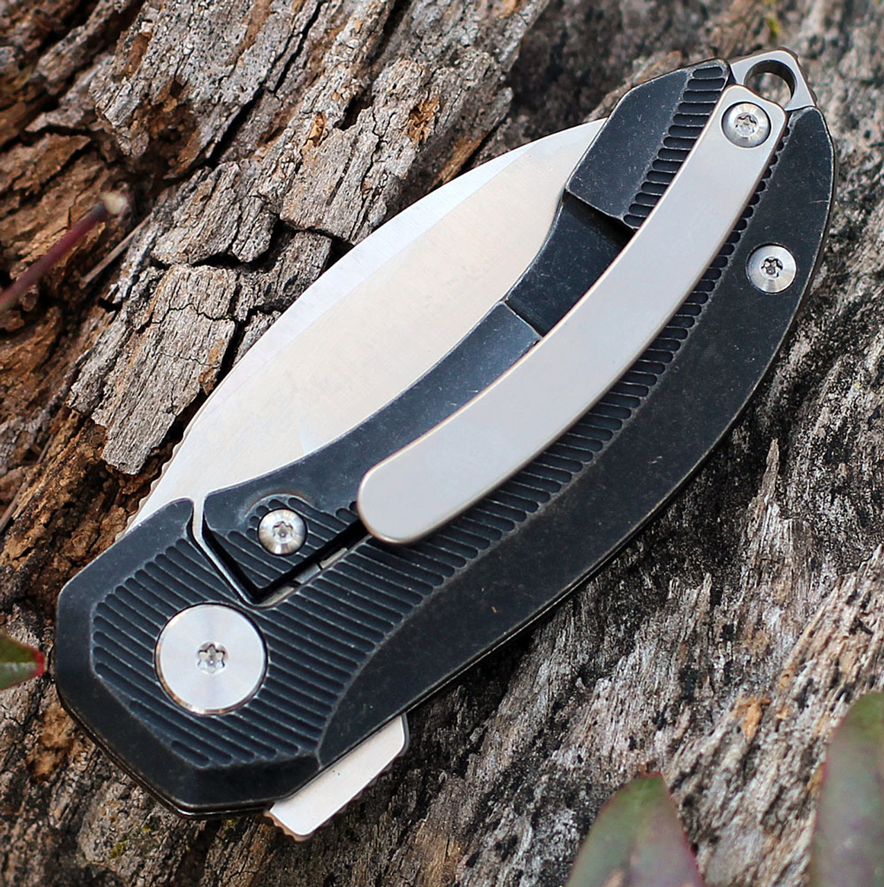 QSP Knife Hamster Folding Knife (QS138B) 2" CPM-S35VN Two-Tone Satin Drop Point Plain Blade, Black Titanium Handle