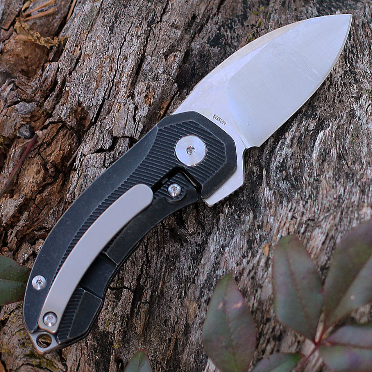 QSP Knife Hamster Folding Knife (QS138B) 2" CPM-S35VN Two-Tone Satin Drop Point Plain Blade, Black Titanium Handle