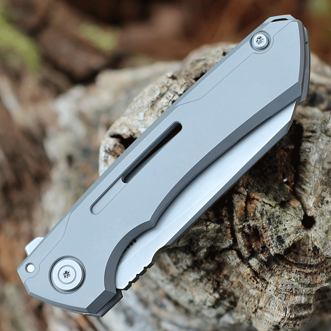 WE Knife Mini Buster  - Gray Ti (3.5" CPM-20CV Bead Blast) 2003A