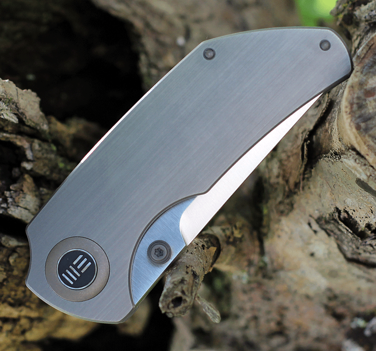 WE Knife Co. Thug 2103A, 2.69" CPM-20CV Satin Compound Tanto Blade, Gray Titanium Handle