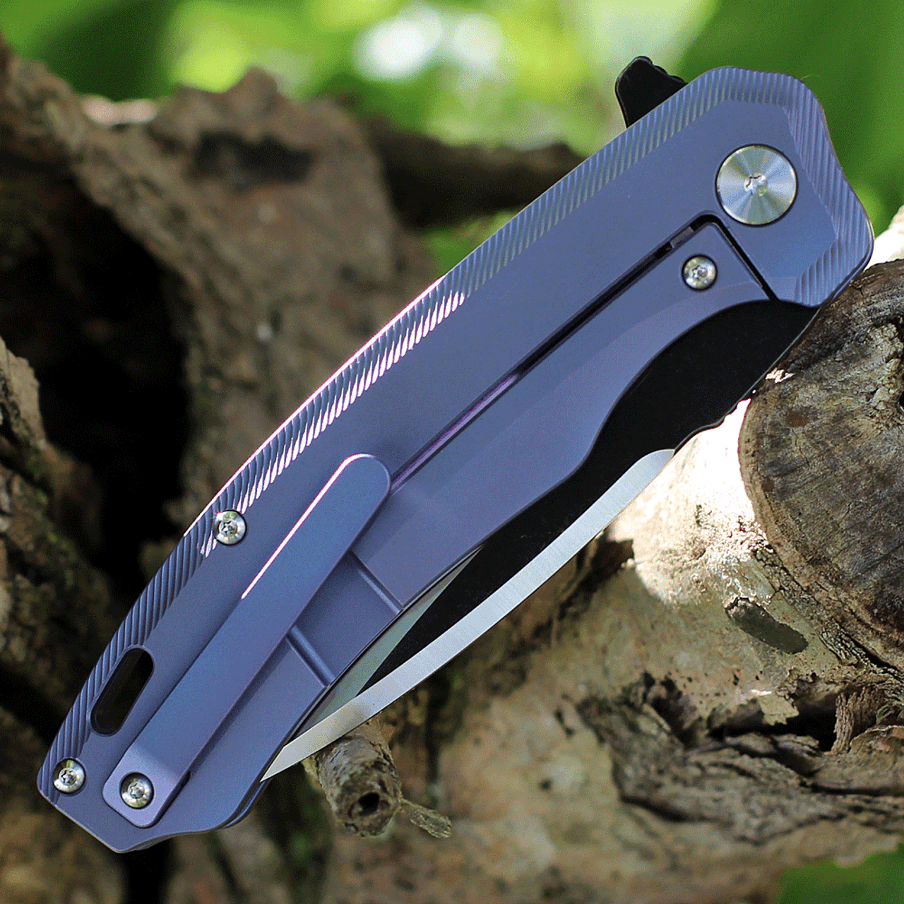 QSP Knife Woodpecker II (QS116C) 3.75" Bohler M390 Two-Tone Black & Satin Drop Point Plain Blade, Blue Titanium Handle
