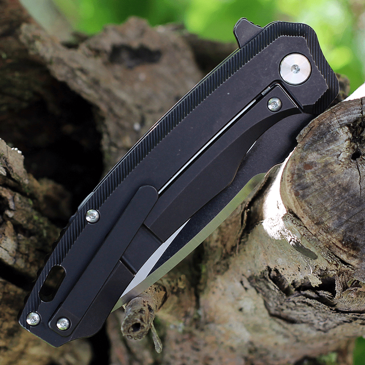 QSP Knife Woodpecker (QS116D) 3.75" M390 Black & Satin Drop Point Plain Blade, Black Titanium Handle