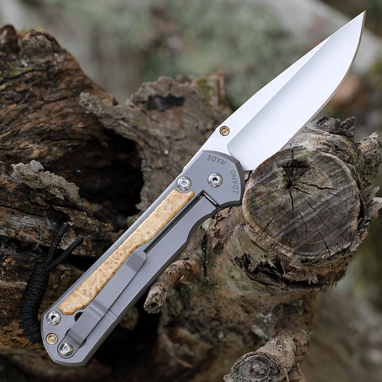 Chris Reeve Large Sebenza 31 Glass Blasted/ Box Elder Inlay | L31 