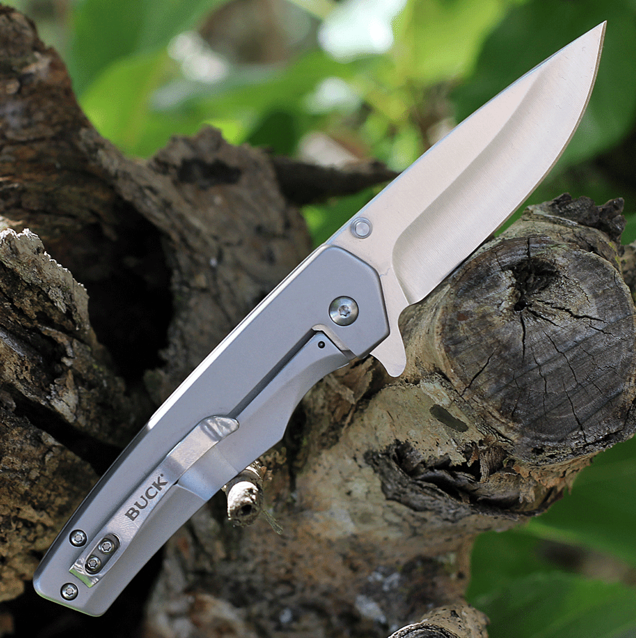 Buck Knives Odessa 0254SSS, 3.125" 7Cr Stainless Steel Satin Drop Point Blade, Gray Stainless Steel Handles