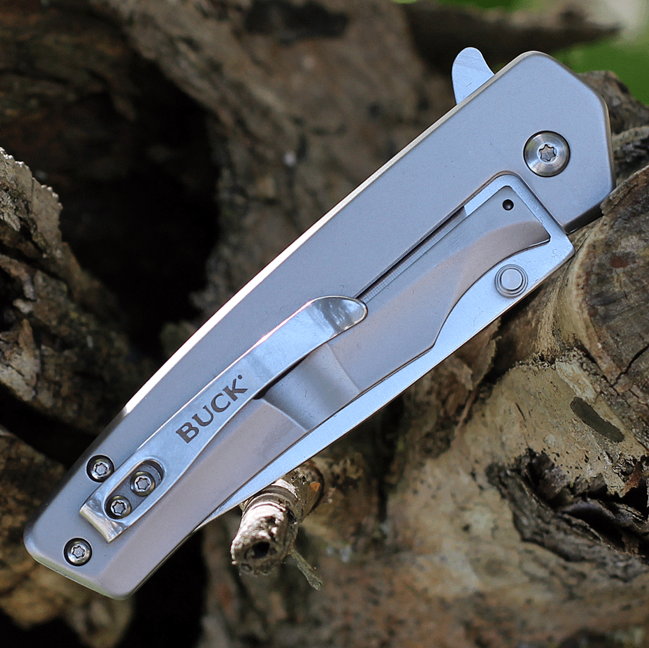 Buck Knives Odessa (BU254SSS) 3.125" 7Cr17MoV Stainless Steel Satin Drop Point Plain Blade, Gray Stainless Steel Handle