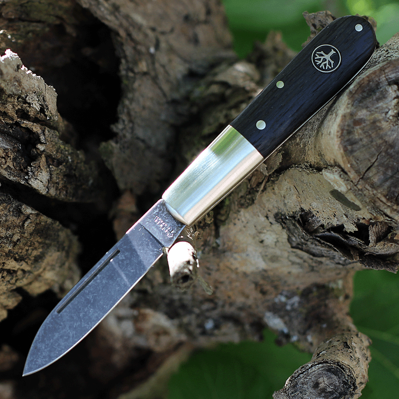 Boker Solingen Oak Tree Barlow 100503, 3.38 C75 Carbon Steel Polished  Plain Blade, Bog Oak Wood