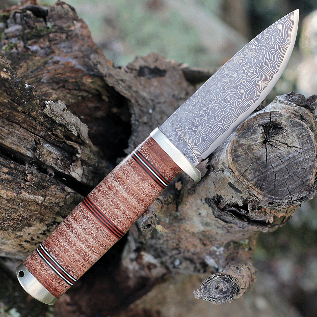 Fallkniven Idun Northern Lights (FNNL5CX) 4" Cowry X Damascus Drop Point Plain Blade, Stacked Leather Handle, Brown Leather Belt Sheath