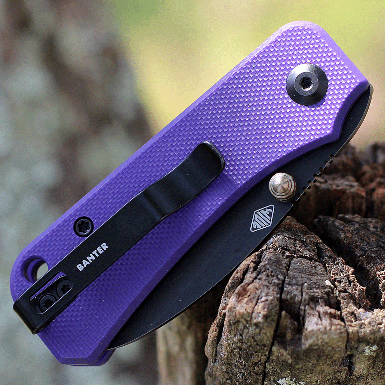 CIVIVI Baby Banter Folding Knife (C19068S-4)- 2.34" Blackwashed Nitro-V Drop Point Blade, Purple G-10 Handles