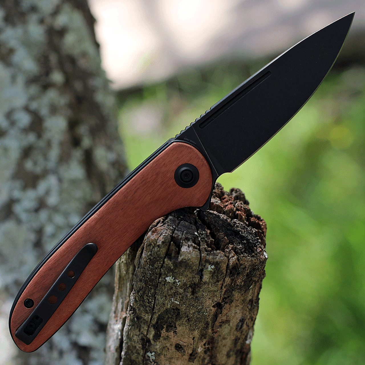 WE Knife Co. Saakshi - Cuibourtia Wood / Black Ti (3.3" CPM-20CV Black SW) 20020C-3 (Pre-Order)