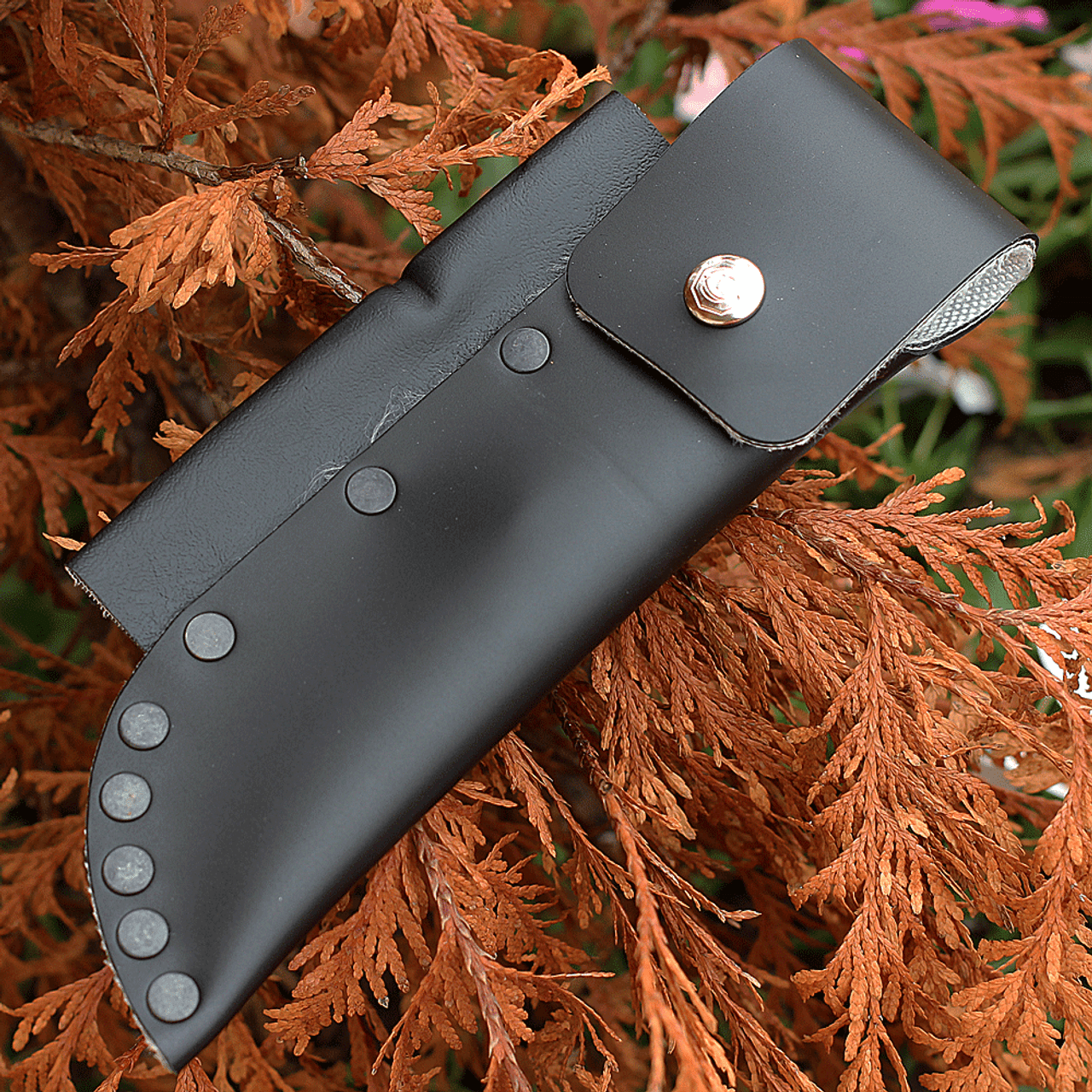 Svord Amerikiwi Skinner - White (3.5" 15N20 Satin) AMKIW