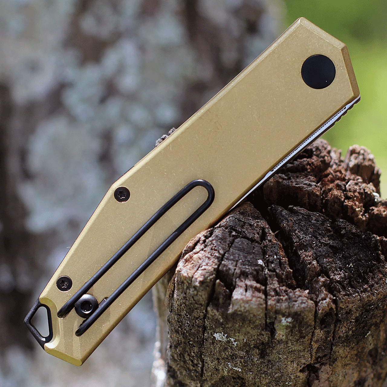 GiantMouse ACE Clyde (3" M390 Satin) Brass