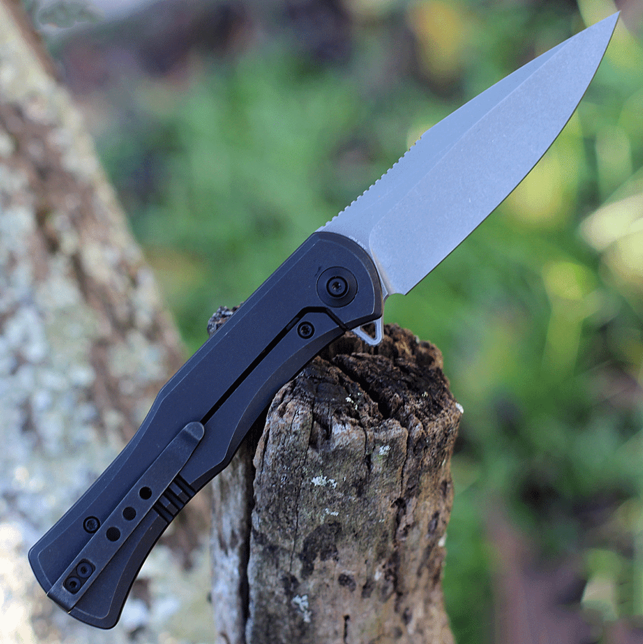 WE Knife Primoris Black Ti (3.5" CPM 20CV Gray SW) 20047A-2