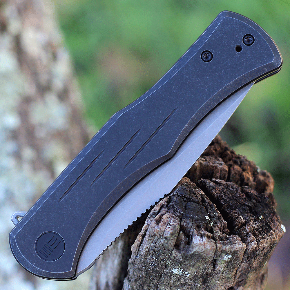 WE Knife Primoris Black Ti (3.5" CPM 20CV Gray SW) 20047A-2