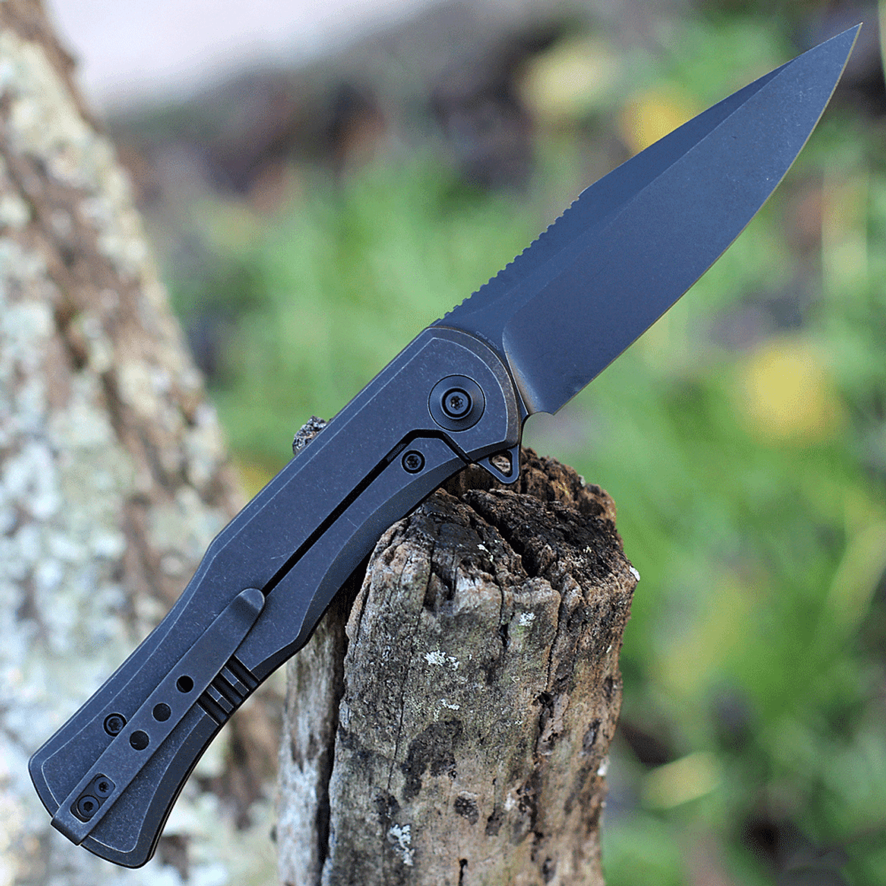 WE Knife Primoris Black Ti (3.5" CPM 20CV Black SW) 20047A-3