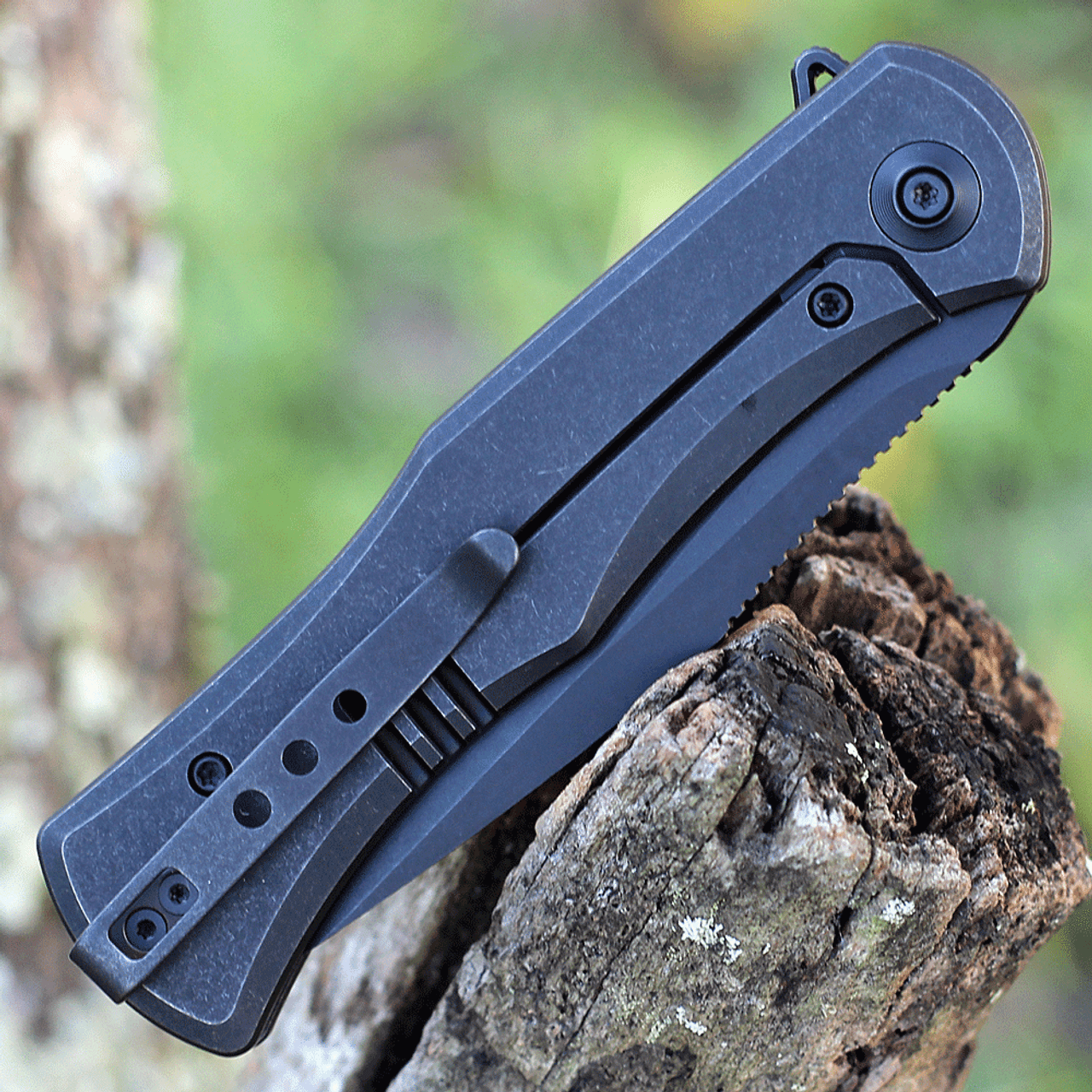 WE Knife Primoris Black Ti (3.5" CPM 20CV Black SW) 20047A-3