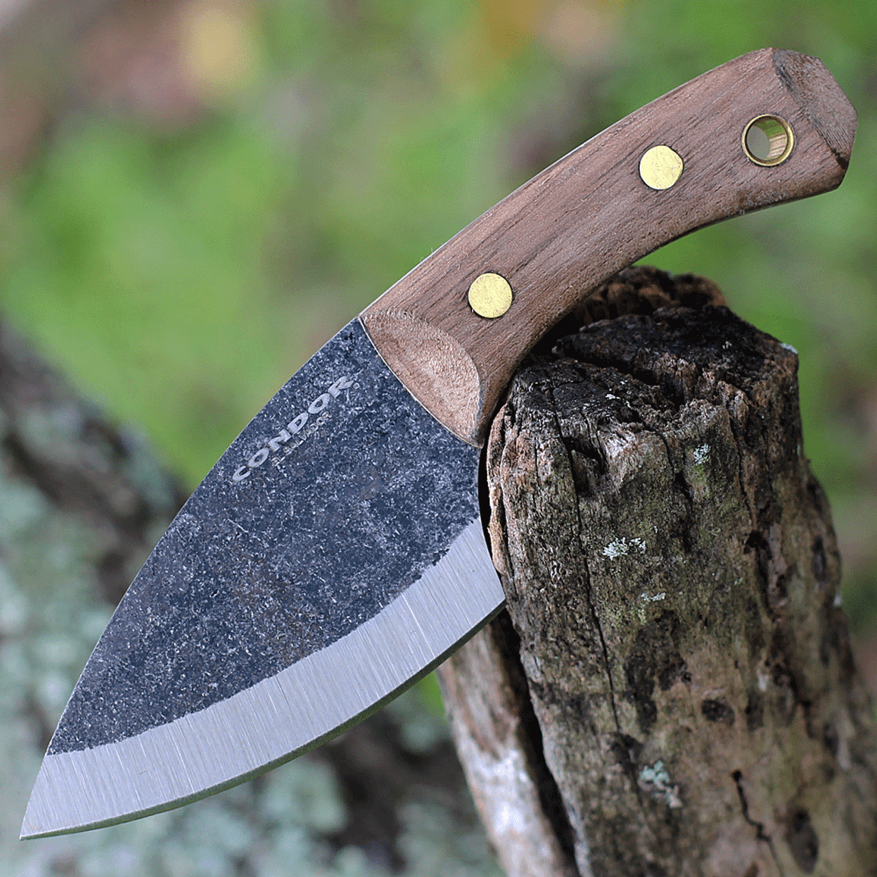 Condor Pangui - Walnut Wood (3.27" 1095) CTK802-3.26HC