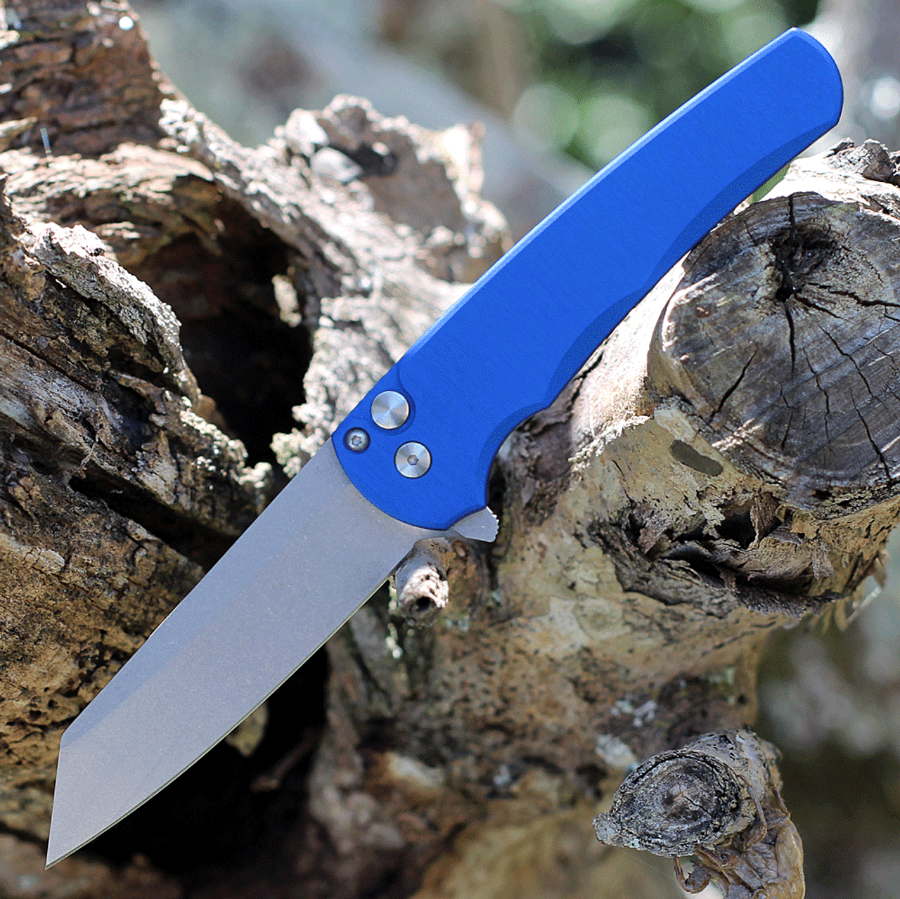 Pro-Tech Malibu Folding Knife - Blue (3.25" CPM-20CV SW Reverse Tanto) 5201-BLUE