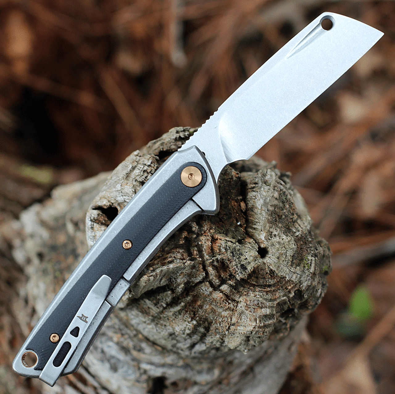 buck knives folding