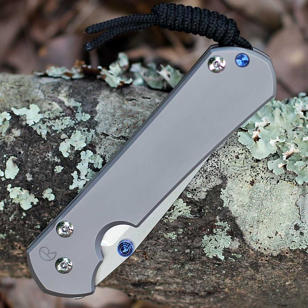 Chris Reeve Sebenza 31 Large Tanto L31-1687 showing glass-blasted titanium handle finish and offset clip.