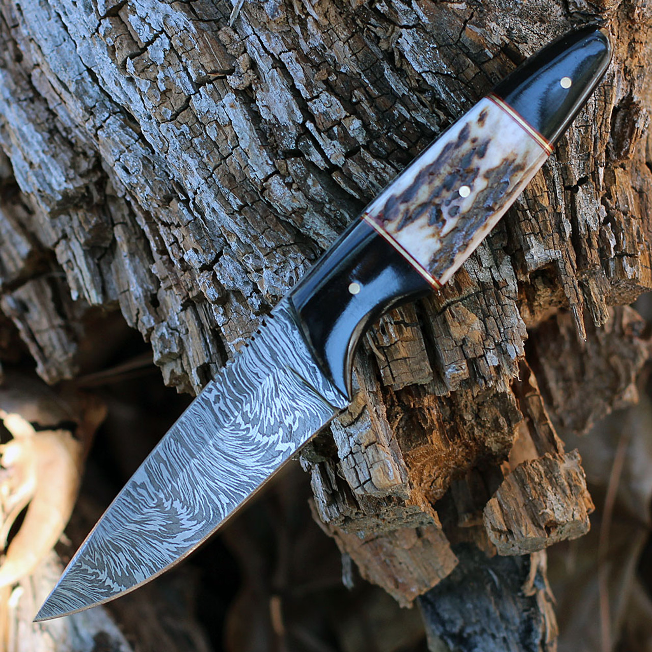 Damascus Blades - Buffalo/Stag Bone (4.5" Damascus) 1293SG