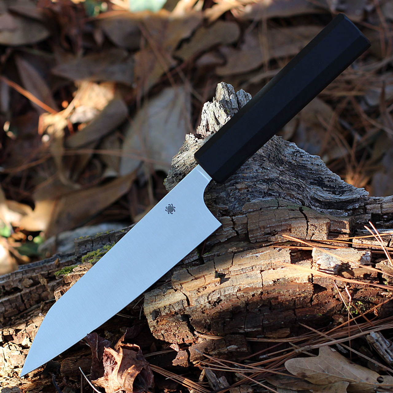Spyderco Minarai Funayuki Utility Knife, Black Polypropylene (6.41" CTS-BD1N) K16PBK