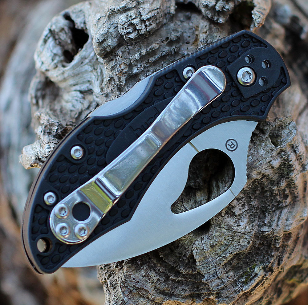 Byrd Robin 2 | BY10SBKWC2 | Knifeworks