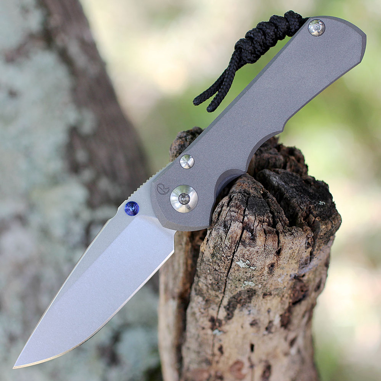 Chris Reeve Small Inkosi | Drop Point | Knifeworks