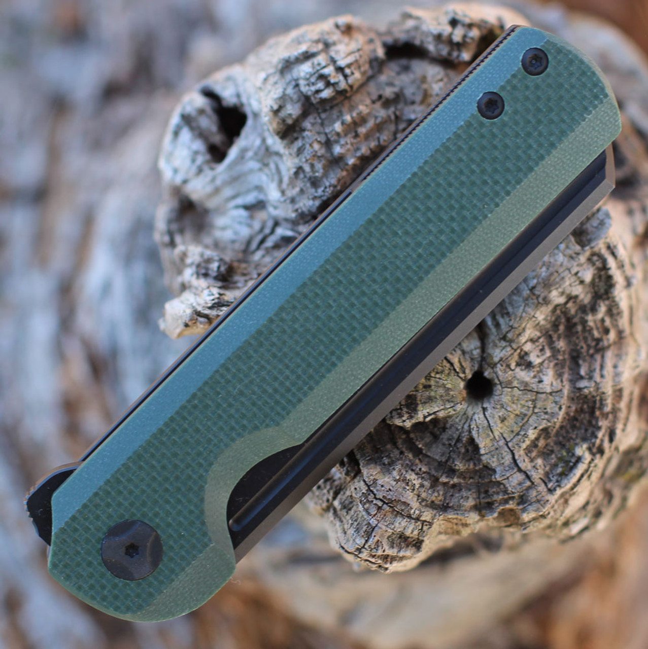 Closing knife Ganzo Firebird FH11-GB green