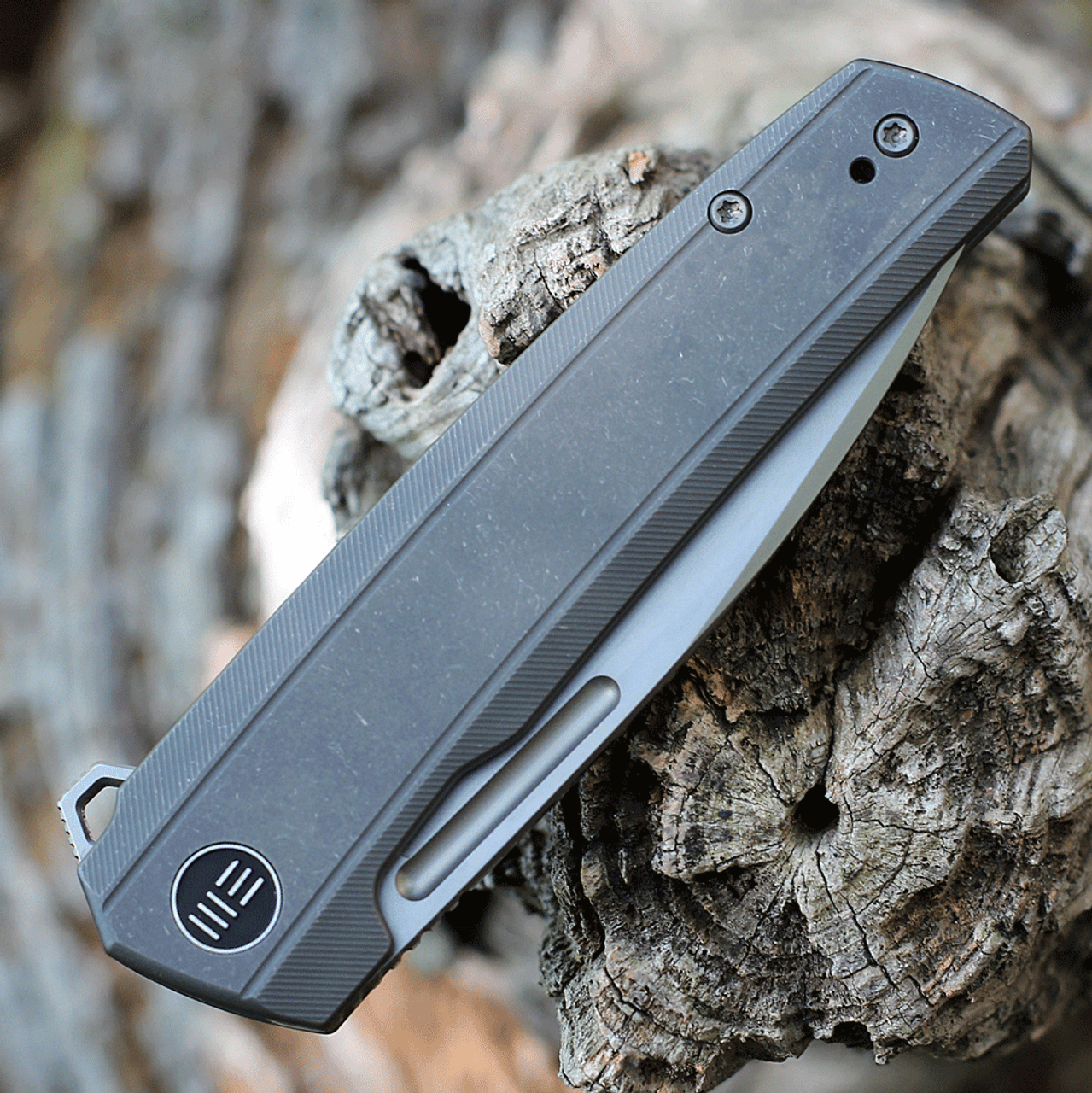 WE Knife Speedster Flipper - Gray Ti (3.5” CPM 20CV Silver BB) WE21021B-1