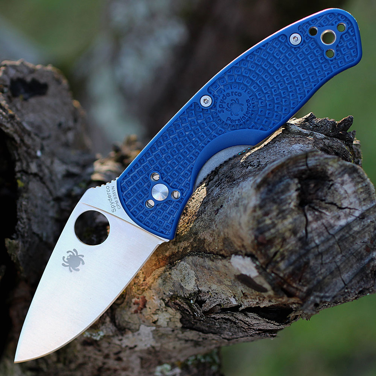 Spyderco Persistence Lightweight (C136PBL) - 2.75" CPM-S35VN Satin Plain Drop Point Blade, Blue FRN Handle