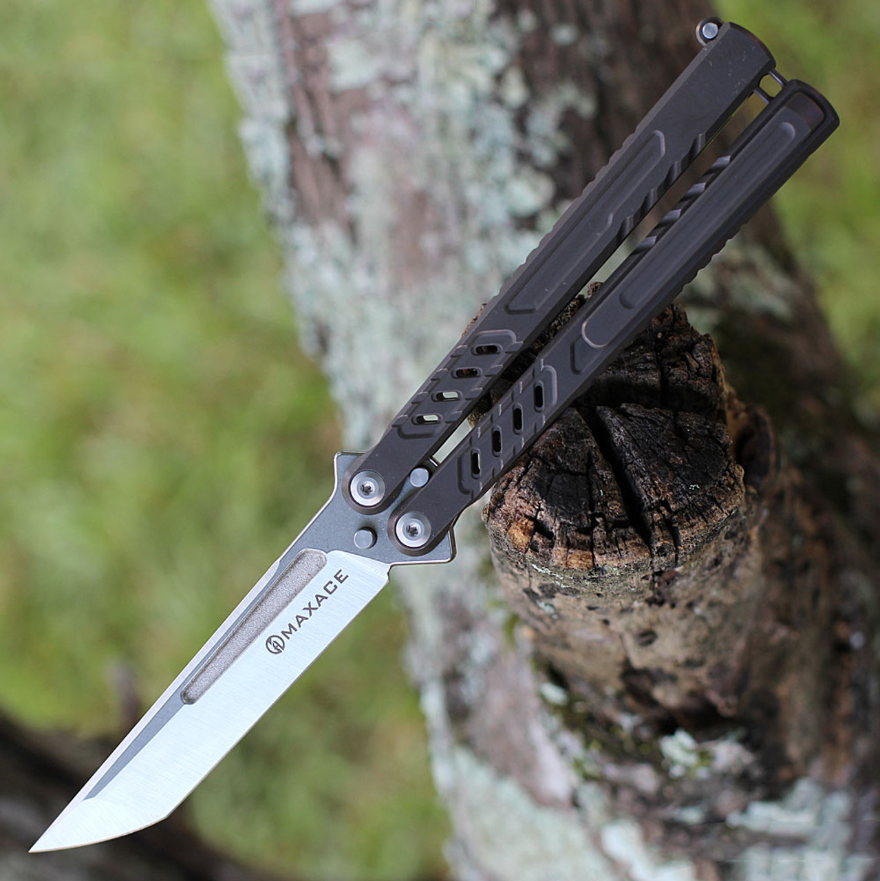 Maxace Pelican-M Balisong Butterfly Knife (MCPM03) - 3.54" Bohler M390 Satin Tanto Blade, Stonewashed Titanium TC4 Handle W/ 440C External Tuning Fork Trainer Blade