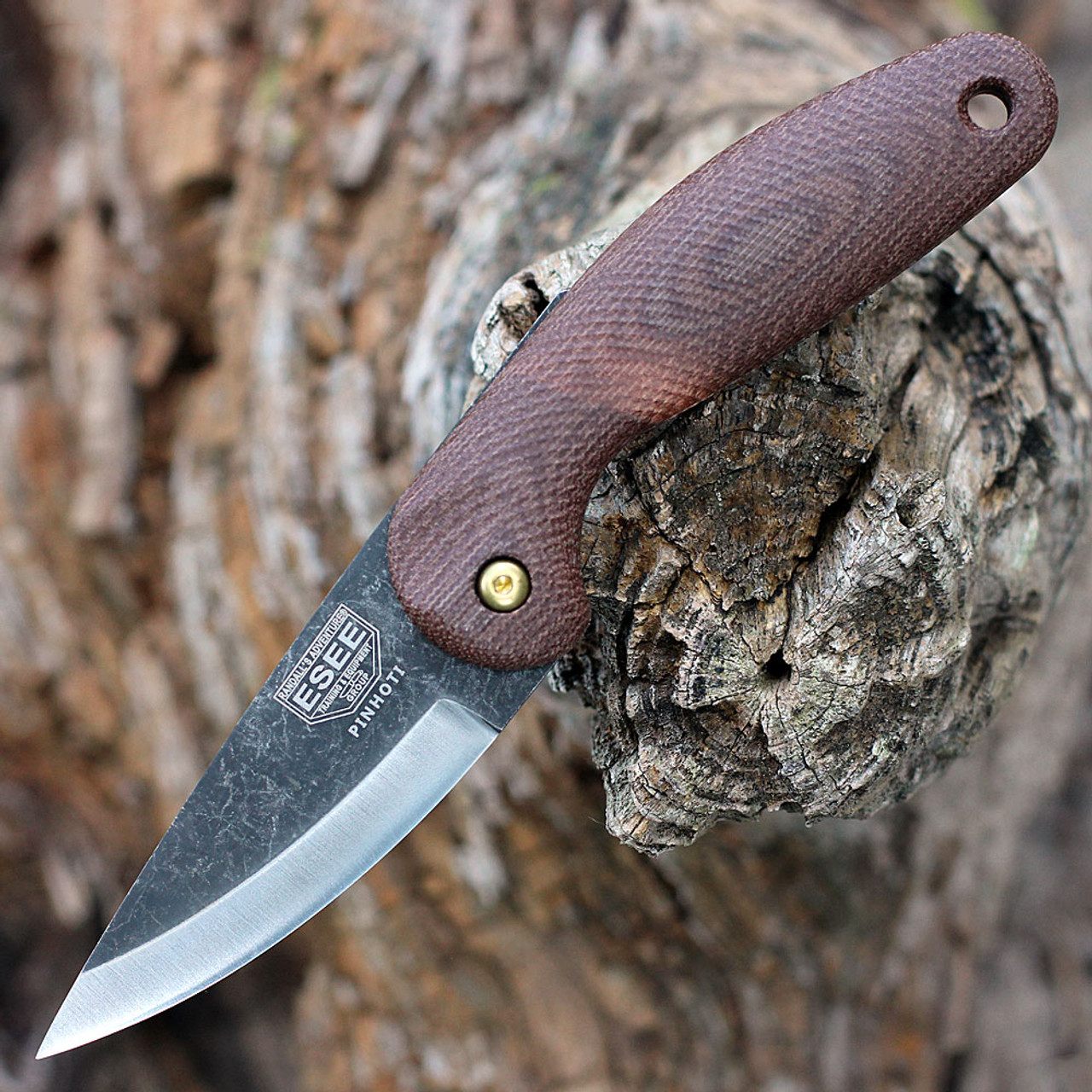 ESEE Knives Pinhoti Friction Folder - 3.25in 1095 Carbon Steel Tumble Black Oxide Scandi Style Blade, Brown Sculpted Micarta Handle