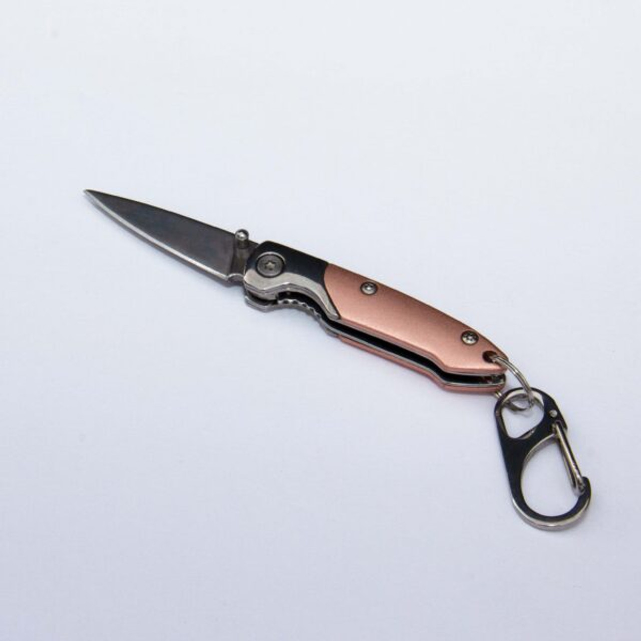 Brighten Blades Pink Floyd Keychain Folding Knife (BB133) 1.65 in Satin 8Cr13MoV Spear Point Blade, Rose Gold Handle