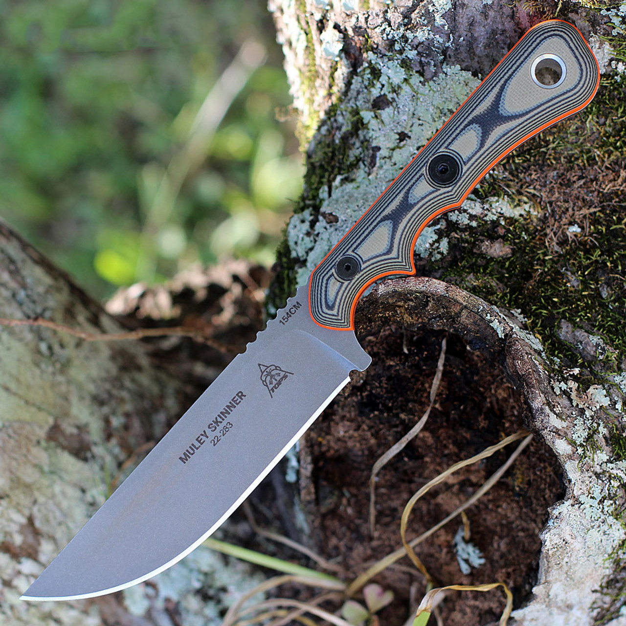 TOPS Muley Skinner (TPMSKIN01) 4.50" 154CM Stonewash Drop Point Plain Blade, Black Orange Tan G10 Handle