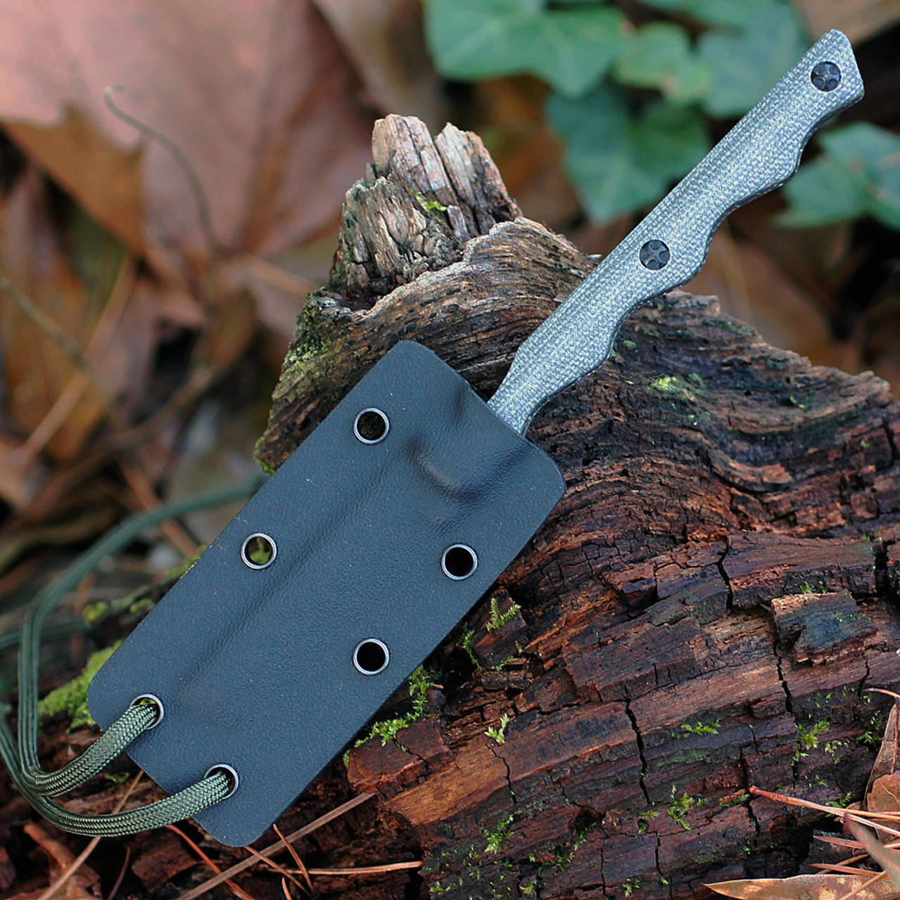 Templar Fixed Blade Neck Knife (N-TKG-22-2) 2.46" D2 Satin Tanto and Gut Hook Plain Blade, OD Green Canvas Micarta Handle