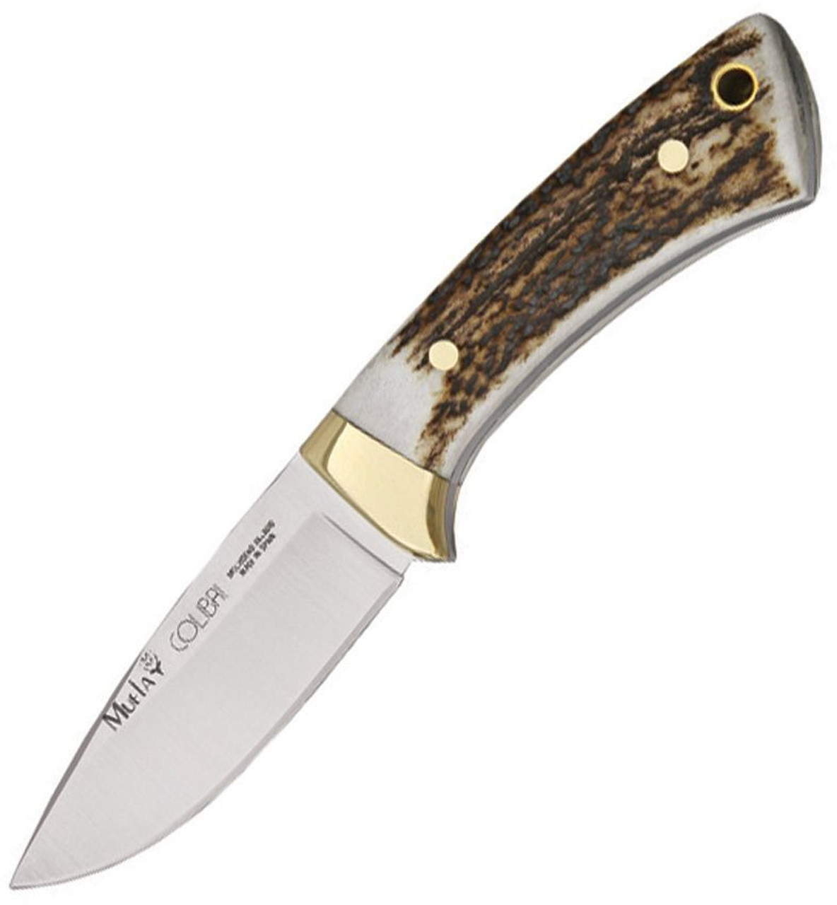 Muela Colibri (MUE92340) 2.75" Stainless Steel Drop Point Plain Blade, Stag Handle